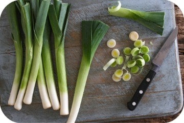 is leek poisonous to dogs